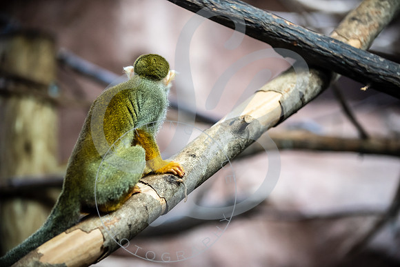 Zoo Trip 2023_122823_1112