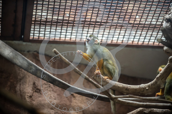 Zoo Trip 2023_122823_1122