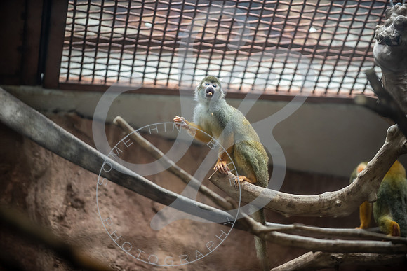 Zoo Trip 2023_122823_1124
