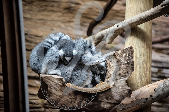 Zoo Trip 2023_122823_1137
