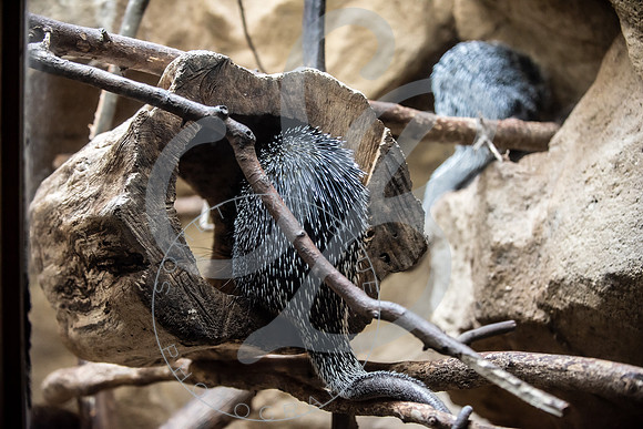 Zoo Trip 2023_122823_1142