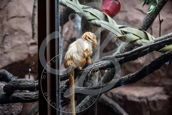 Zoo Trip 2023_122823_1161
