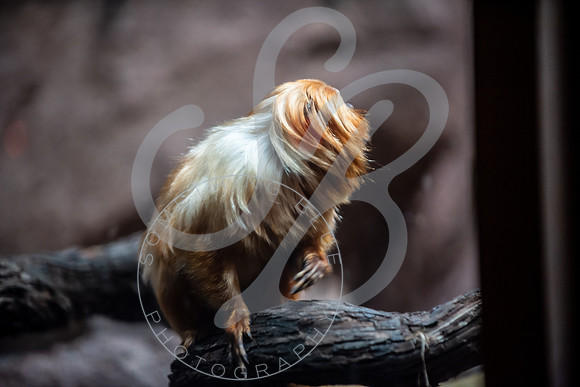 Zoo Trip 2023_122823_1157