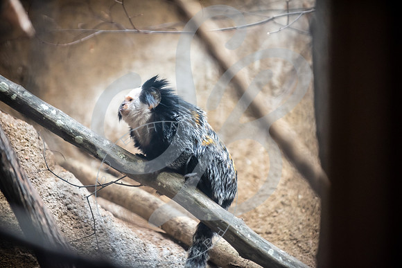 Zoo Trip 2023_122823_1171
