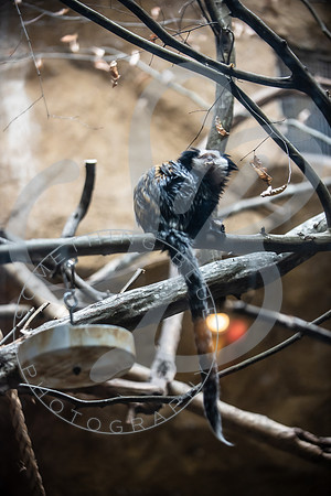 Zoo Trip 2023_122823_1177