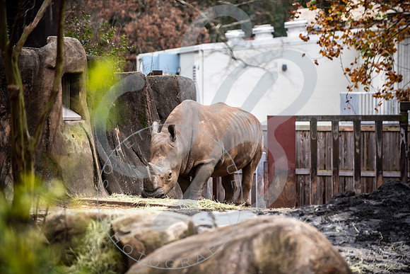 Zoo Trip 2023_122823_1180