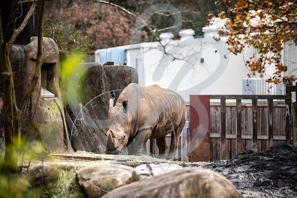 Zoo Trip 2023_122823_1182