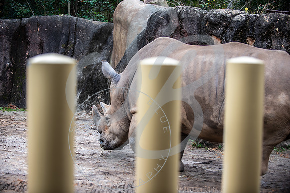 Zoo Trip 2023_122823_1189