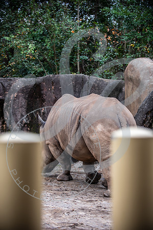 Zoo Trip 2023_122823_1190