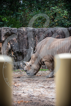 Zoo Trip 2023_122823_1191