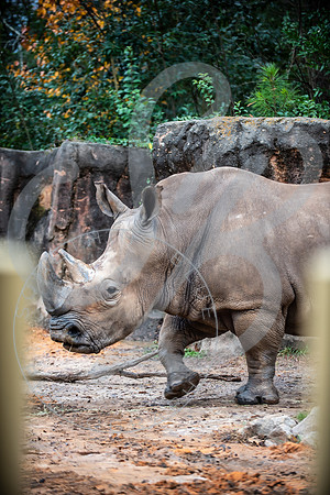 Zoo Trip 2023_122823_1194