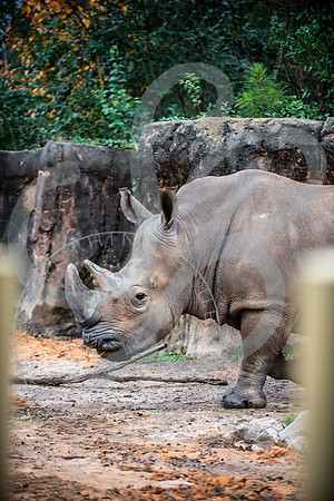 Zoo Trip 2023_122823_1195