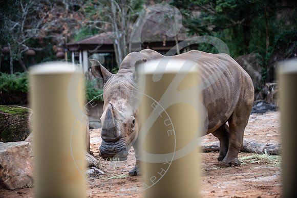 Zoo Trip 2023_122823_1202
