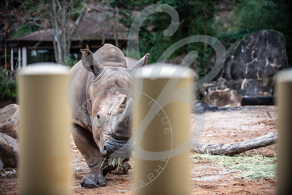 Zoo Trip 2023_122823_1203