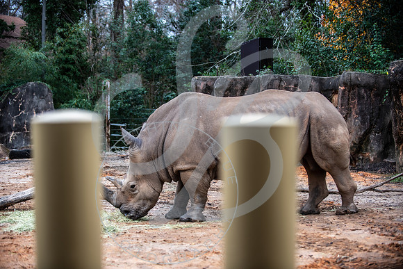 Zoo Trip 2023_122823_1200