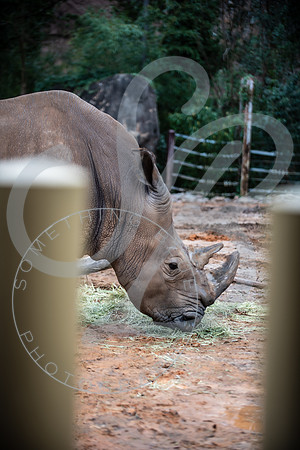 Zoo Trip 2023_122823_1205