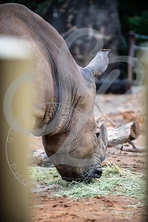 Zoo Trip 2023_122823_1211