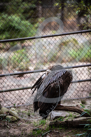 Zoo Trip 2023_122823_1214