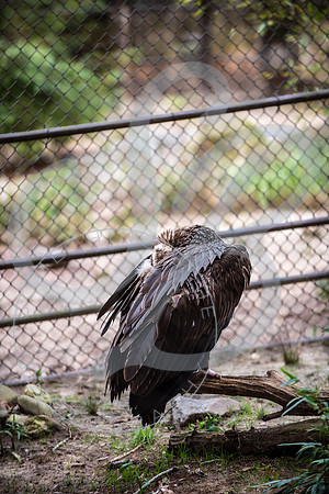Zoo Trip 2023_122823_1216