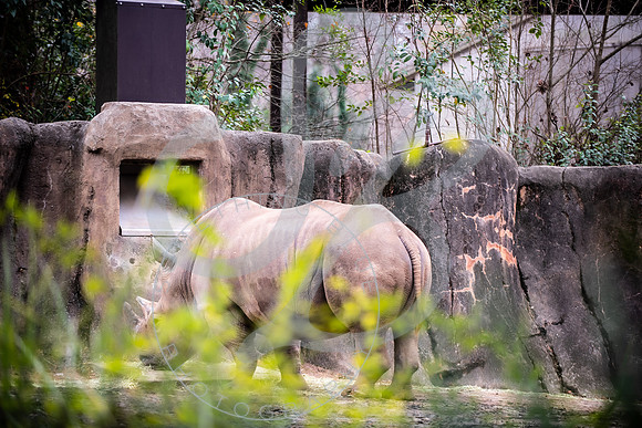 Zoo Trip 2023_122823_1217