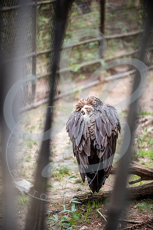 Zoo Trip 2023_122823_1224
