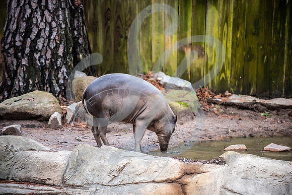 Zoo Trip 2023_122823_1229