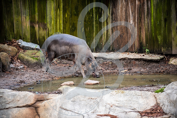 Zoo Trip 2023_122823_1234