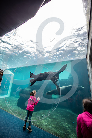 Zoo Trip 2023_122823_1291