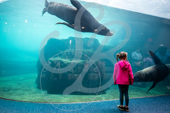 Zoo Trip 2023_122823_1317