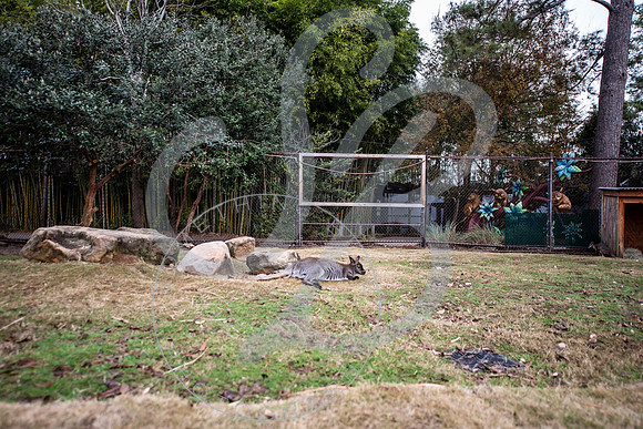 Zoo Trip 2023_122823_1350