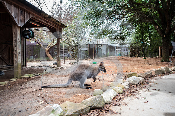 Zoo Trip 2023_122823_1368