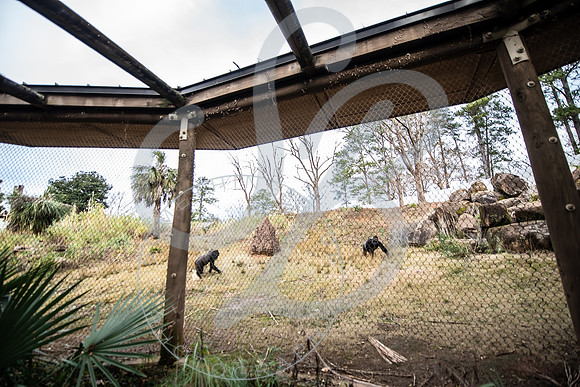 Zoo Trip 2023_122823_1387