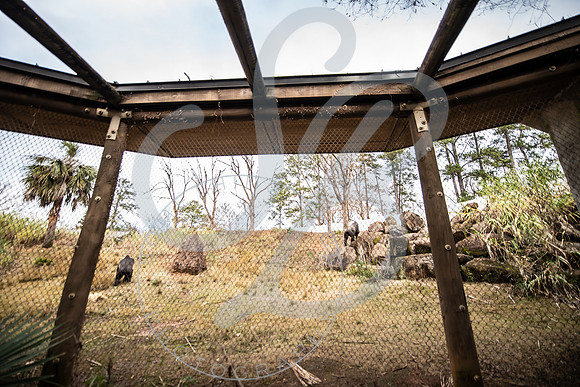 Zoo Trip 2023_122823_1390