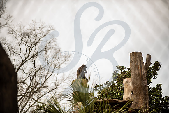 Zoo Trip 2023_122823_1408