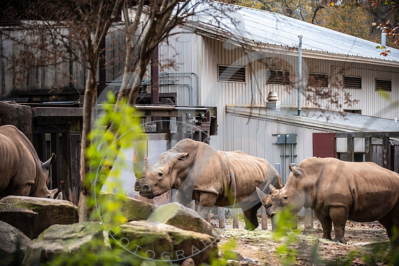 Zoo Trip 2023_122823_1430