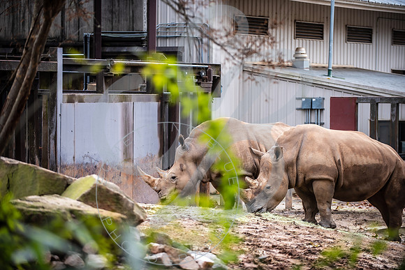 Zoo Trip 2023_122823_1441