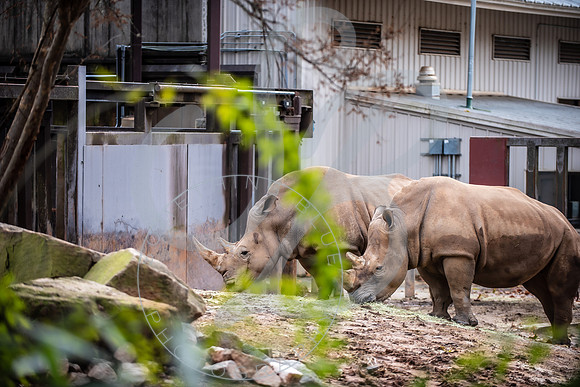 Zoo Trip 2023_122823_1442