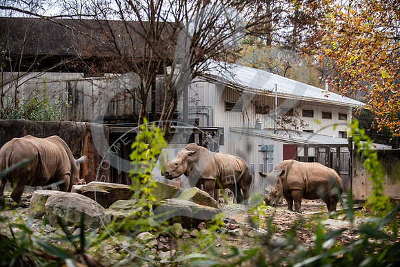Zoo Trip 2023_122823_1432