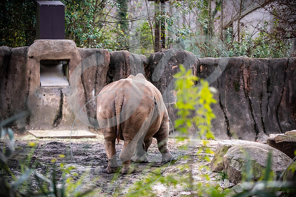 Zoo Trip 2023_122823_1436