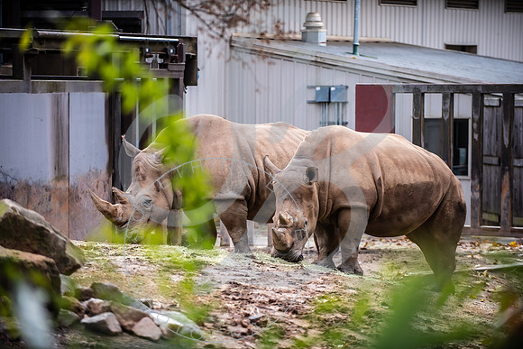 Zoo Trip 2023_122823_1450