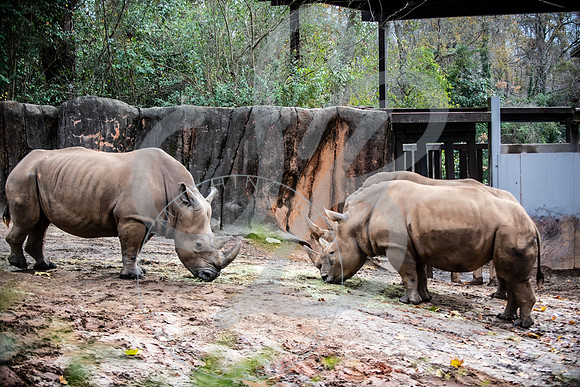 Zoo Trip 2023_122823_1452