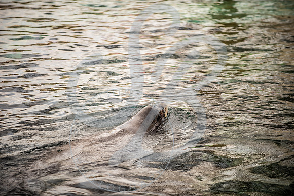 Zoo Trip 2023_122823_1459