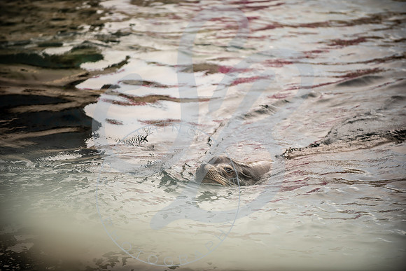 Zoo Trip 2023_122823_1463