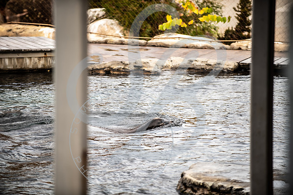 Zoo Trip 2023_122823_1462