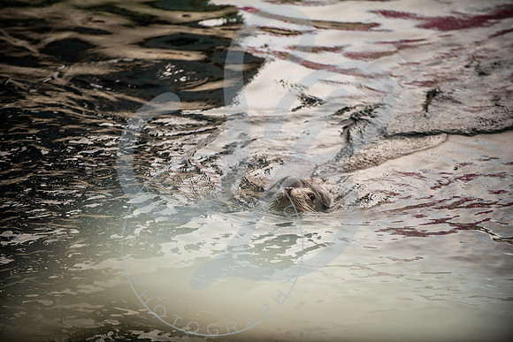 Zoo Trip 2023_122823_1464