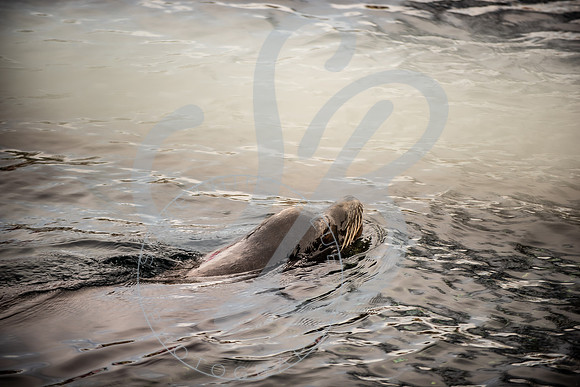 Zoo Trip 2023_122823_1468