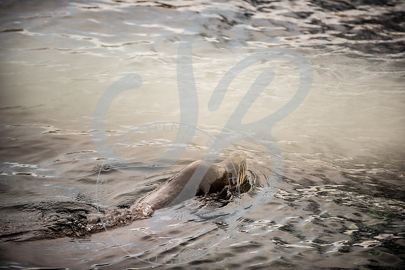 Zoo Trip 2023_122823_1469