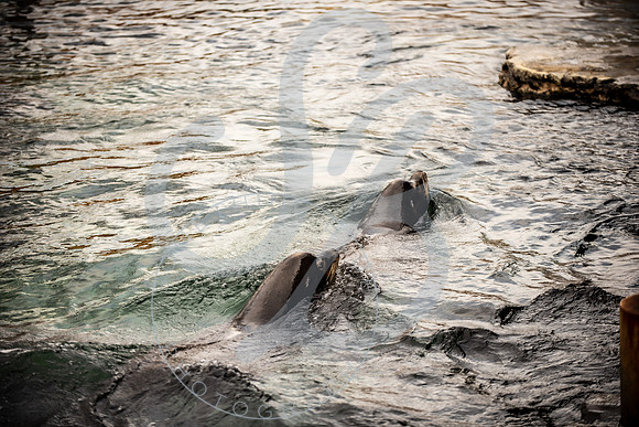 Zoo Trip 2023_122823_1471