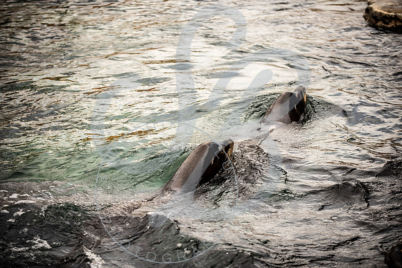 Zoo Trip 2023_122823_1472