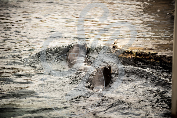 Zoo Trip 2023_122823_1474